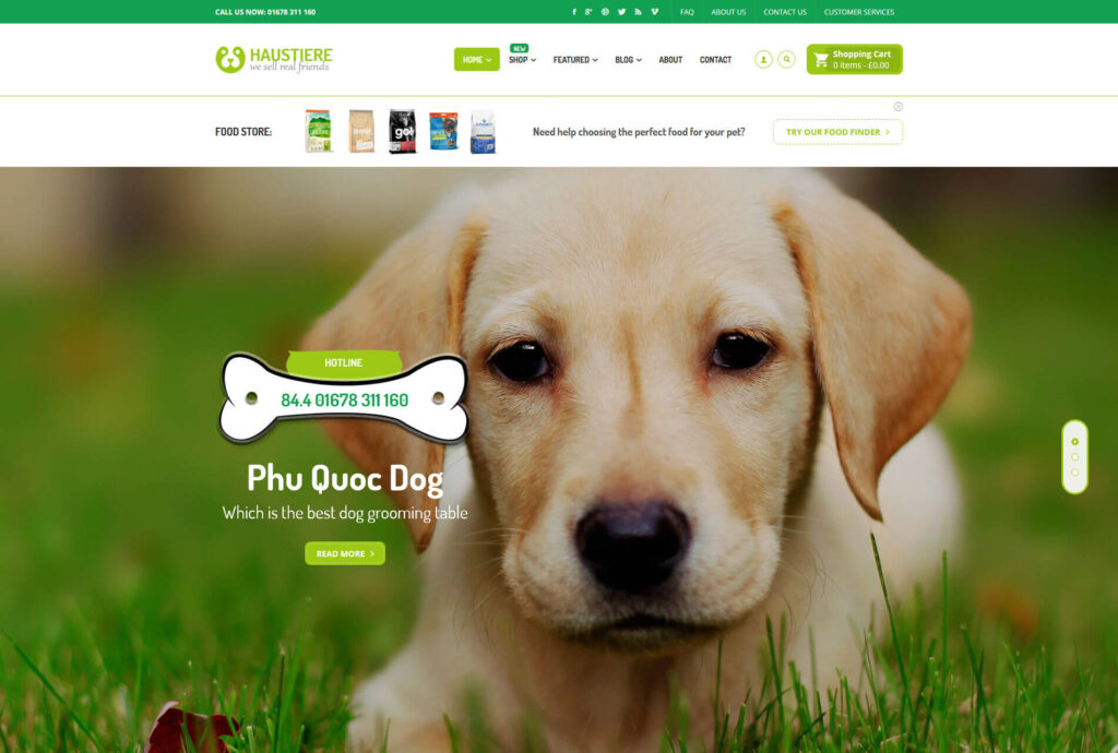 Haustiere - Pets Store RTL WooCommerce WordPress Theme - Best Pet Grooming WordPress Theme - Blog Haveli