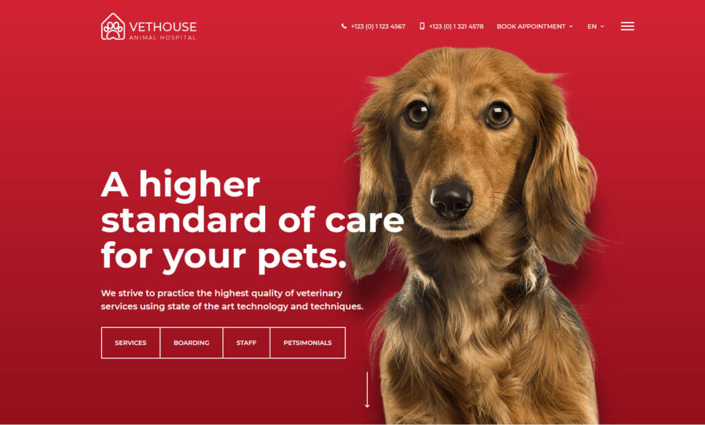 Vethouse - Pet Care & Veterinary Theme - Best Pet Grooming WordPress Theme - Blog Haveli