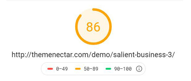 Salient - Google Desktop Speed Test Fastest WordPress Theme